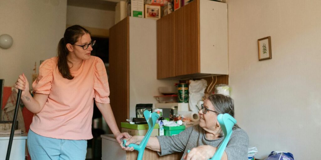 cleaning chsp domestic assistance